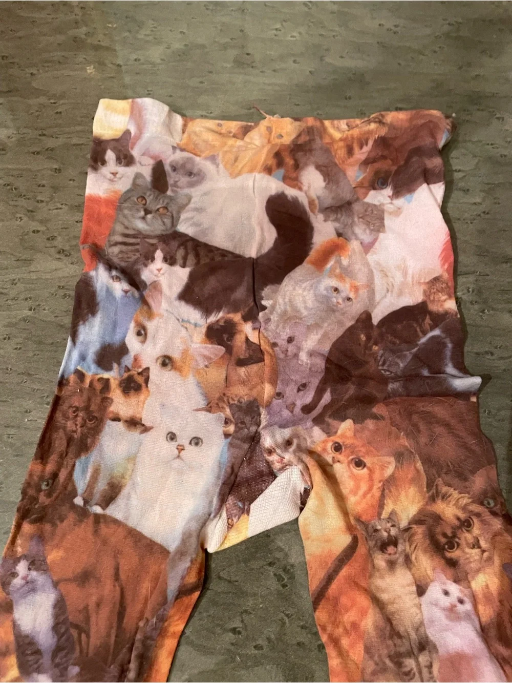 Women’s Cat Print Stretch stockings in various colors